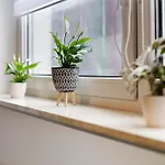 Appartement Petit Bijou