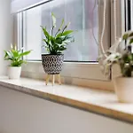 Petit Bijou Апартаменты