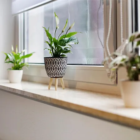 Petit Bijou Apartament